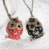 owls-1